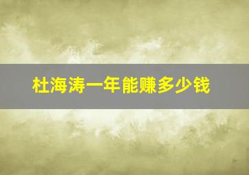 杜海涛一年能赚多少钱