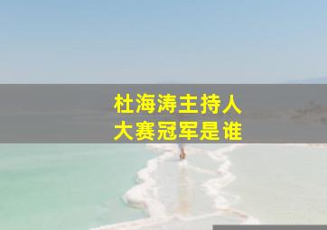 杜海涛主持人大赛冠军是谁