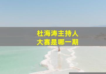 杜海涛主持人大赛是哪一期