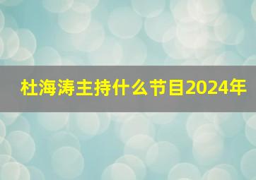 杜海涛主持什么节目2024年