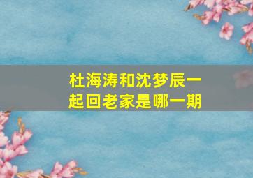 杜海涛和沈梦辰一起回老家是哪一期