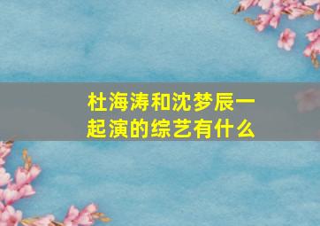 杜海涛和沈梦辰一起演的综艺有什么