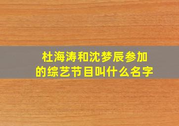 杜海涛和沈梦辰参加的综艺节目叫什么名字