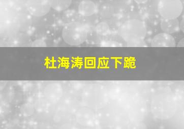 杜海涛回应下跪