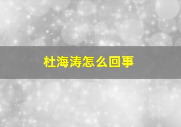 杜海涛怎么回事