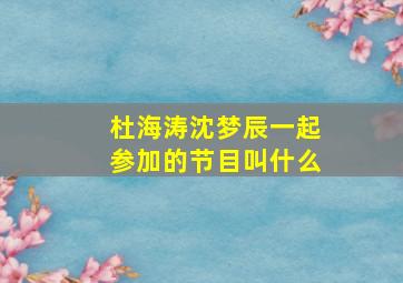 杜海涛沈梦辰一起参加的节目叫什么