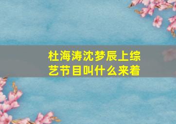 杜海涛沈梦辰上综艺节目叫什么来着