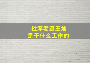 杜淳老婆王灿是干什么工作的