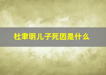 杜聿明儿子死因是什么