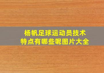 杨帆足球运动员技术特点有哪些呢图片大全