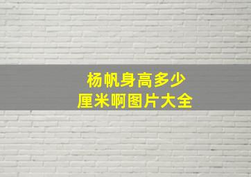 杨帆身高多少厘米啊图片大全