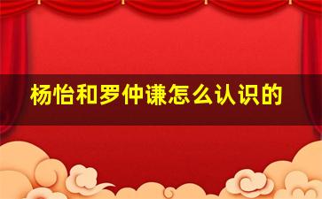 杨怡和罗仲谦怎么认识的