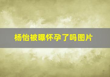 杨怡被曝怀孕了吗图片