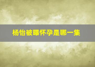 杨怡被曝怀孕是哪一集