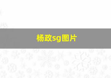 杨政sg图片