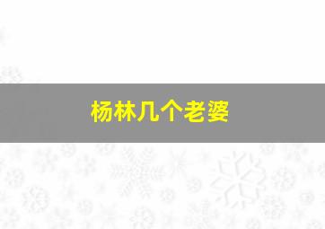 杨林几个老婆