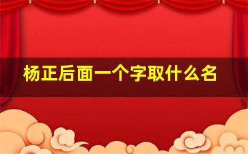 杨正后面一个字取什么名