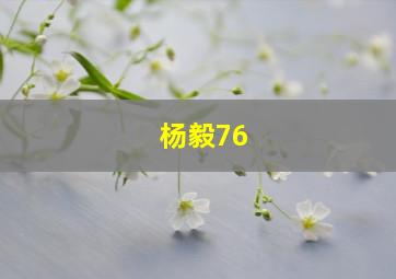 杨毅76