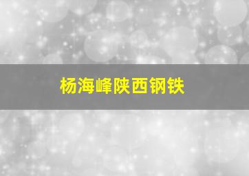 杨海峰陕西钢铁