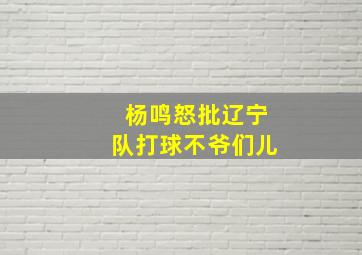 杨鸣怒批辽宁队打球不爷们儿