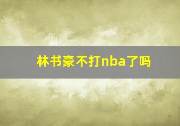 林书豪不打nba了吗