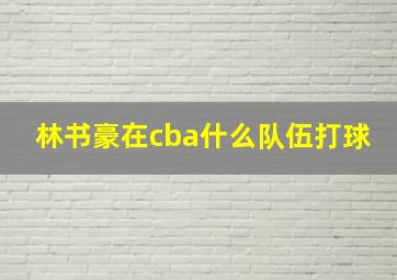 林书豪在cba什么队伍打球