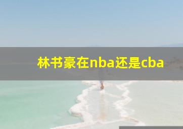 林书豪在nba还是cba