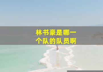 林书豪是哪一个队的队员啊