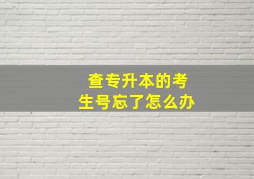 查专升本的考生号忘了怎么办