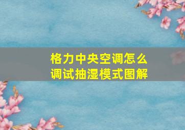 格力中央空调怎么调试抽湿模式图解