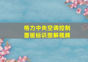 格力中央空调控制面板标识图解视频