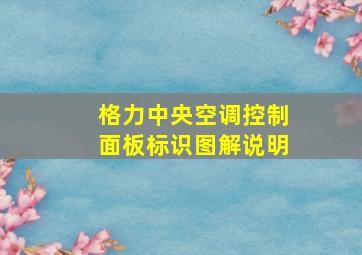 格力中央空调控制面板标识图解说明