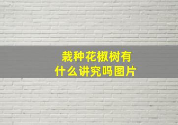 栽种花椒树有什么讲究吗图片