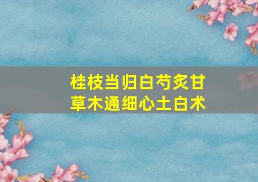 桂枝当归白芍炙甘草木通细心土白术