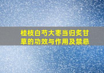 桂枝白芍大枣当归炙甘草的功效与作用及禁忌