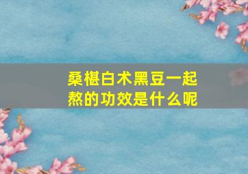 桑椹白术黑豆一起熬的功效是什么呢