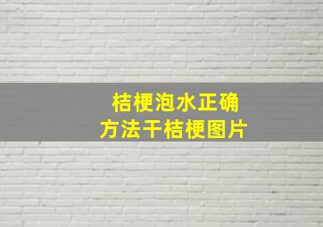 桔梗泡水正确方法干桔梗图片