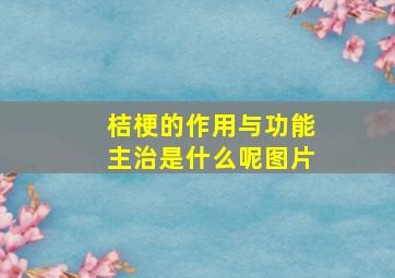 桔梗的作用与功能主治是什么呢图片