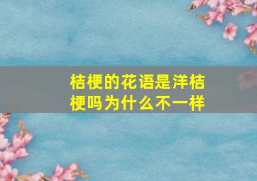 桔梗的花语是洋桔梗吗为什么不一样