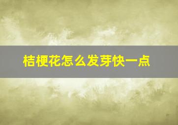 桔梗花怎么发芽快一点