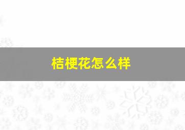 桔梗花怎么样