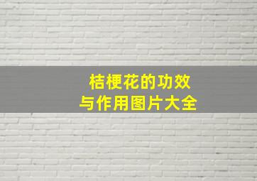 桔梗花的功效与作用图片大全