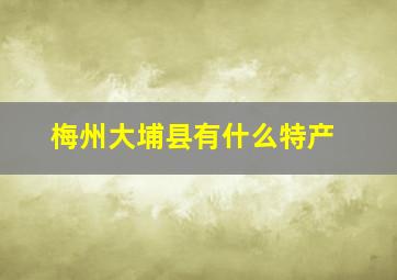 梅州大埔县有什么特产