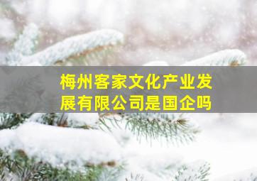 梅州客家文化产业发展有限公司是国企吗