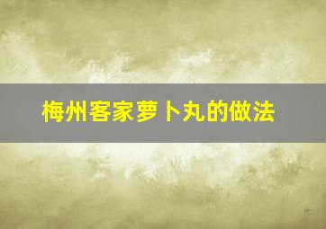 梅州客家萝卜丸的做法