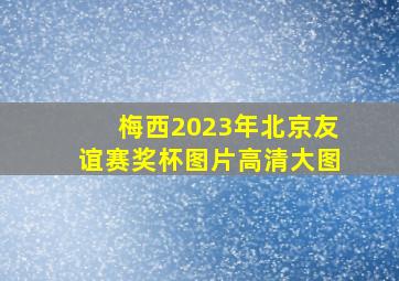 梅西2023年北京友谊赛奖杯图片高清大图