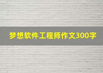 梦想软件工程师作文300字