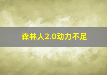 森林人2.0动力不足