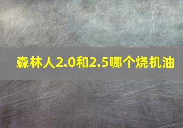 森林人2.0和2.5哪个烧机油