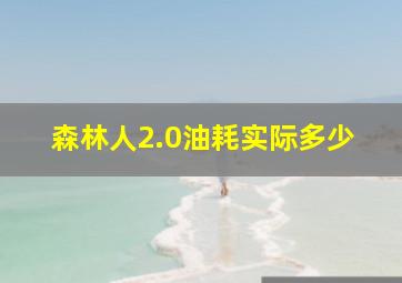 森林人2.0油耗实际多少